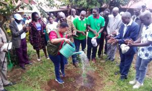 Tree Planting 
