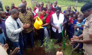 Tree Planting 